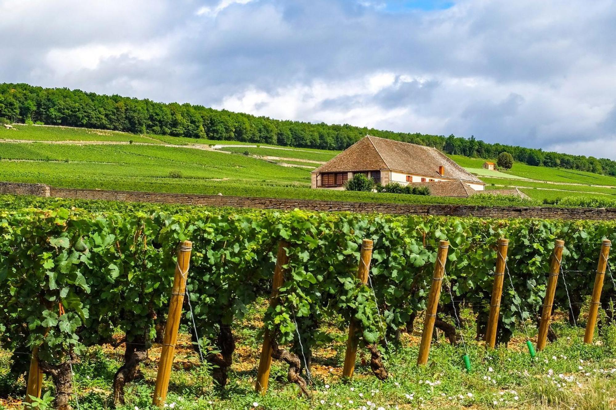 Voco Beaune , Cite Des Vins By Ihg Zewnętrze zdjęcie